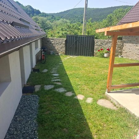 Casa Noua Villa Sasca Montana Ngoại thất bức ảnh