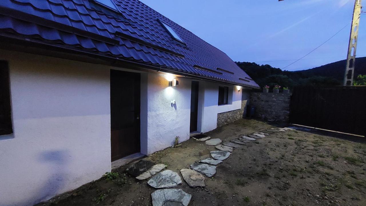 Casa Noua Villa Sasca Montana Ngoại thất bức ảnh