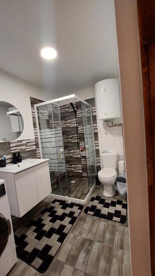 Casa Noua Villa Sasca Montana Ngoại thất bức ảnh