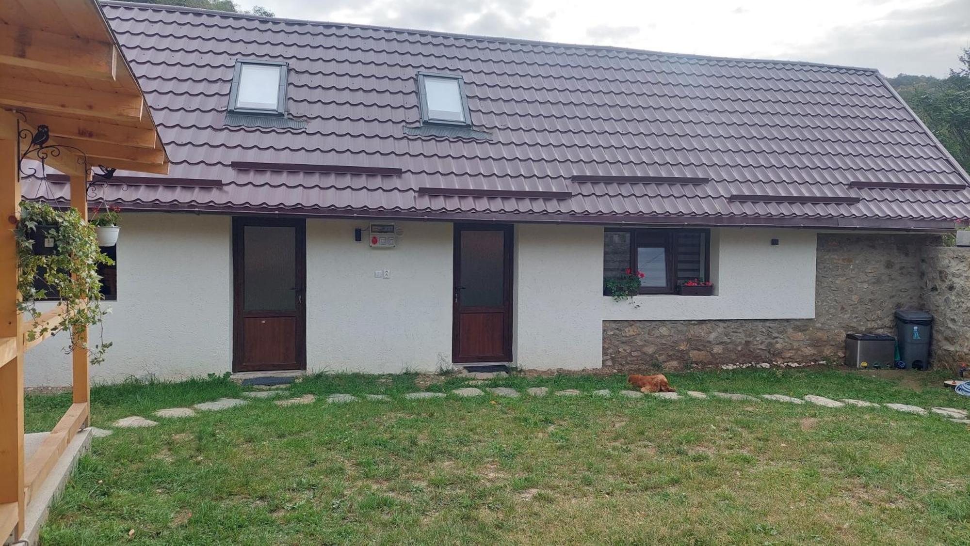 Casa Noua Villa Sasca Montana Ngoại thất bức ảnh