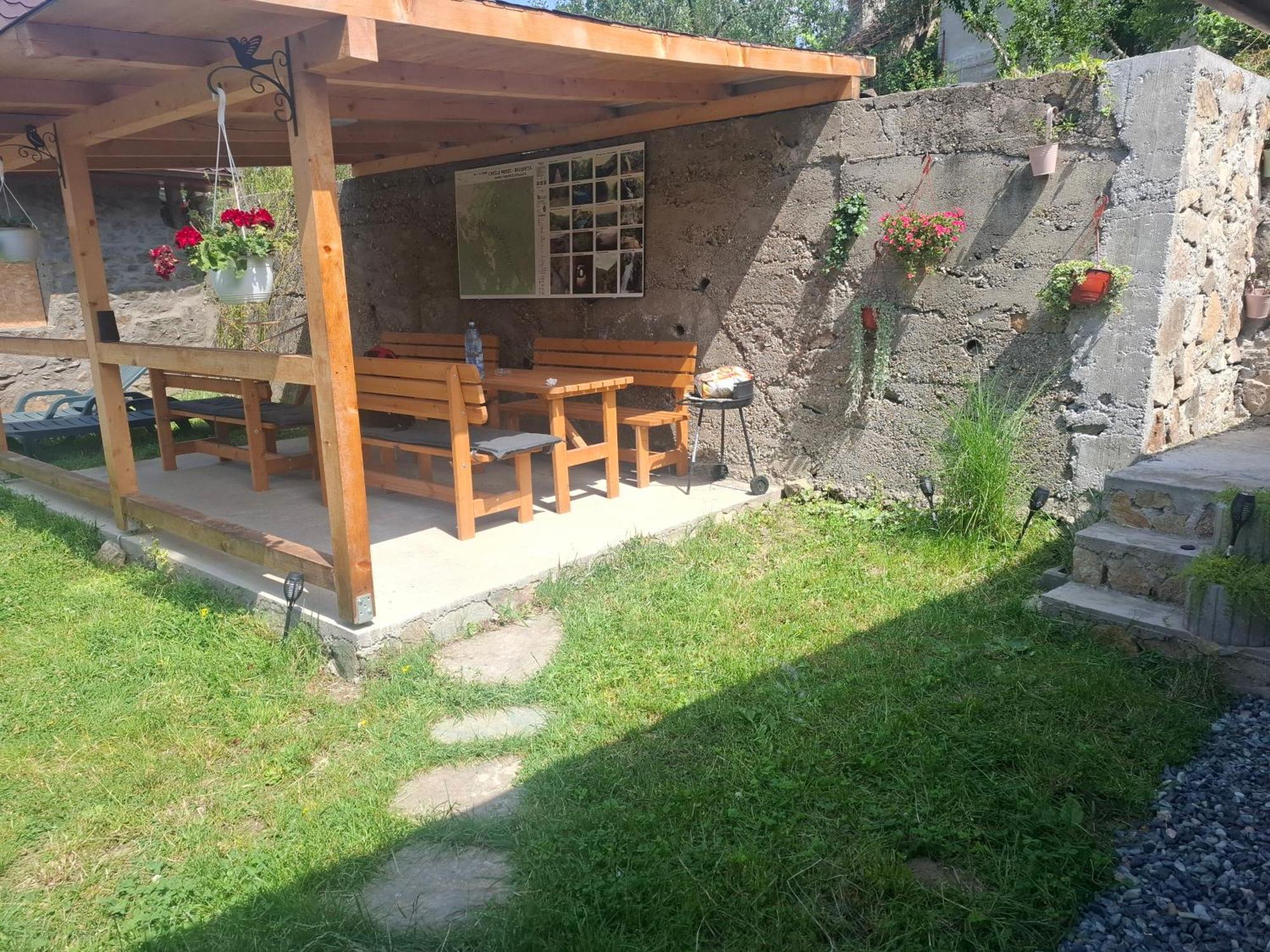 Casa Noua Villa Sasca Montana Ngoại thất bức ảnh