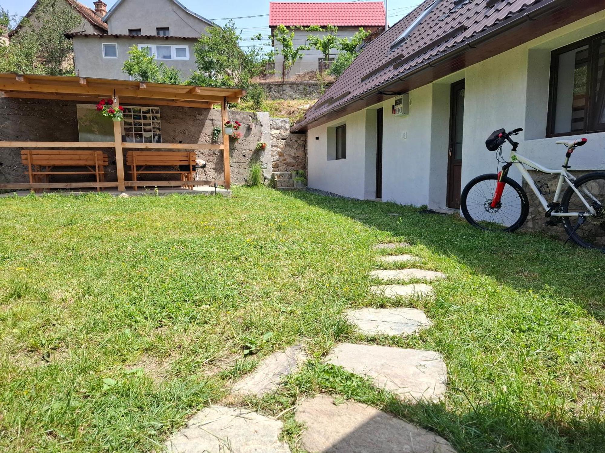 Casa Noua Villa Sasca Montana Ngoại thất bức ảnh
